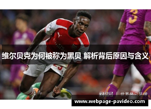 维尔贝克为何被称为黑贝 解析背后原因与含义