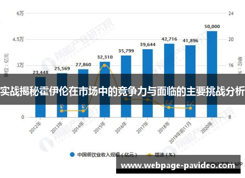 实战揭秘霍伊伦在市场中的竞争力与面临的主要挑战分析